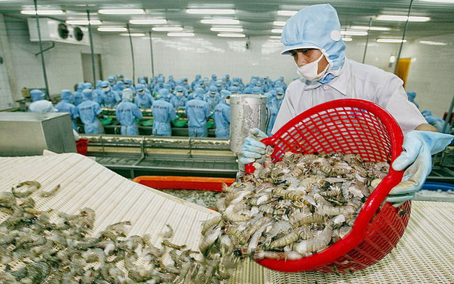 vietnams shrimp exports rise amidst covid 19 pandemic